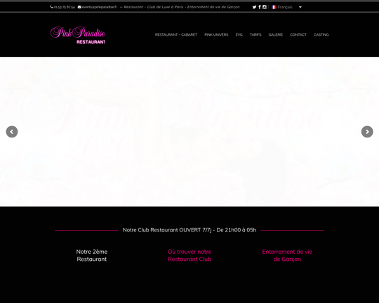 Pink Paradise Logo