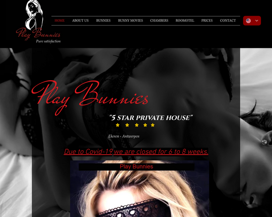 Play Bunnies Logo